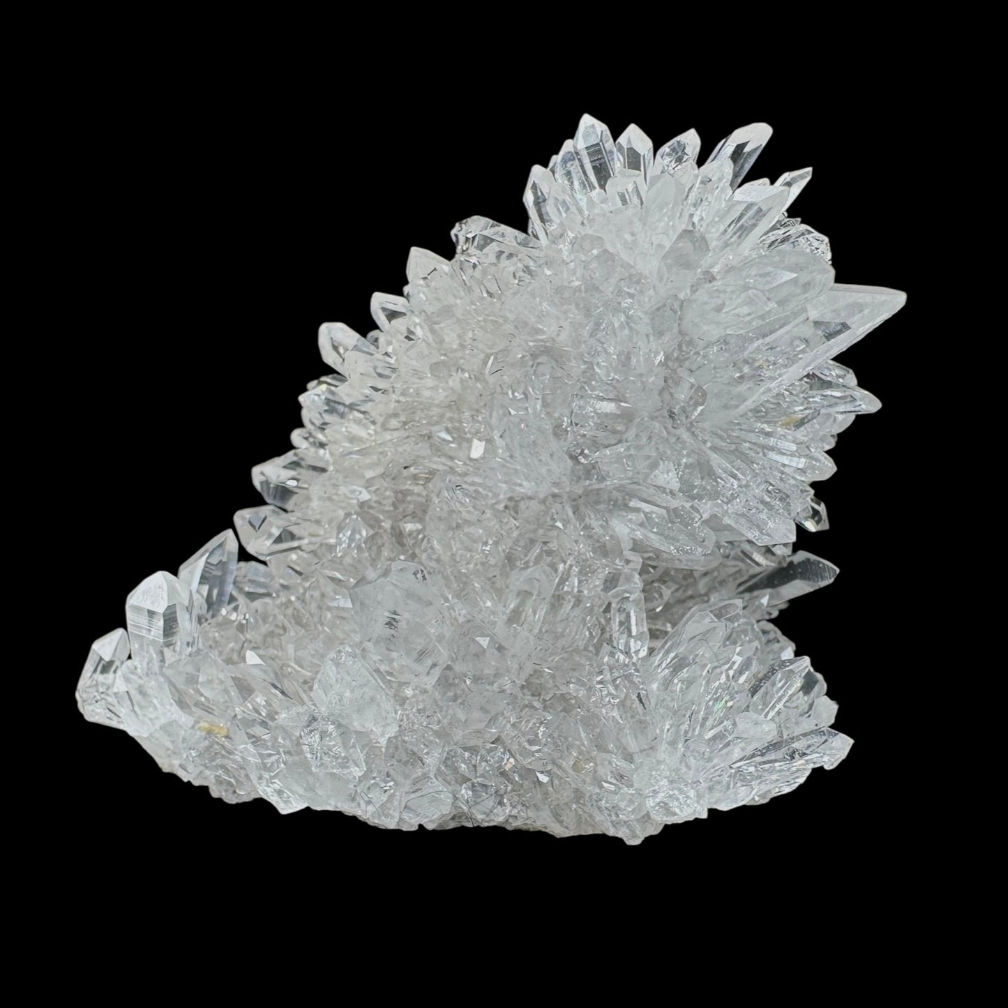 Chrysanthemum Stone