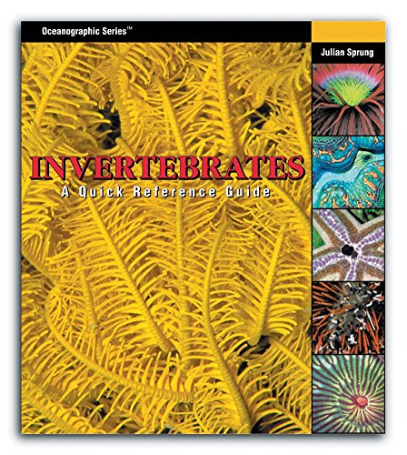 Invertebrates: A Quick Referance Guide