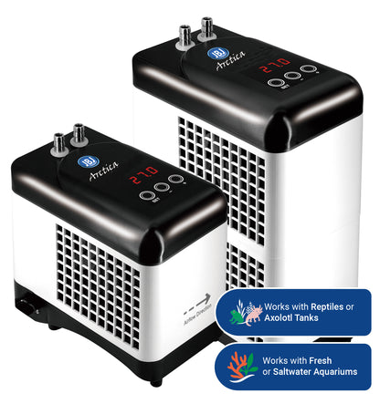 Nano Arctica E-Chiller