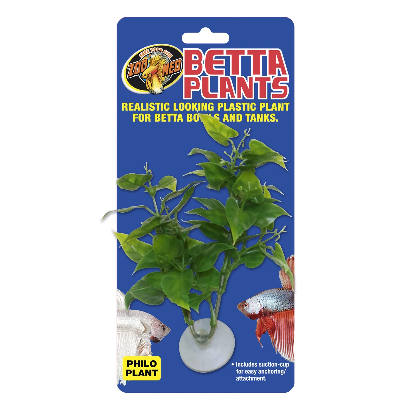 Betta Plant