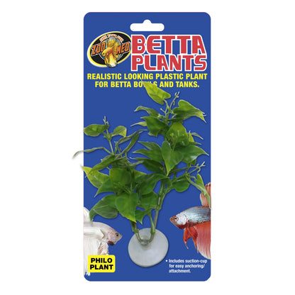 Betta Plant