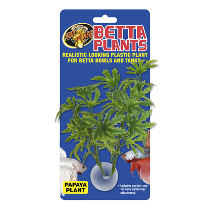 Betta Plant