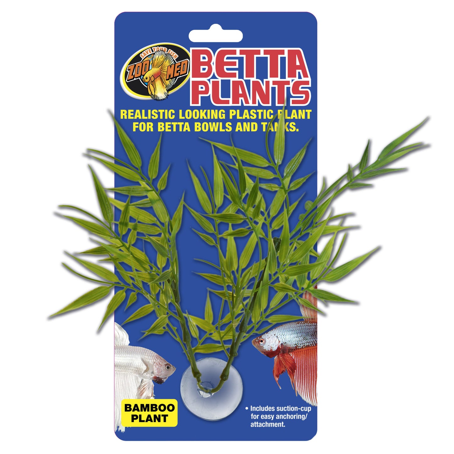 Betta Plant