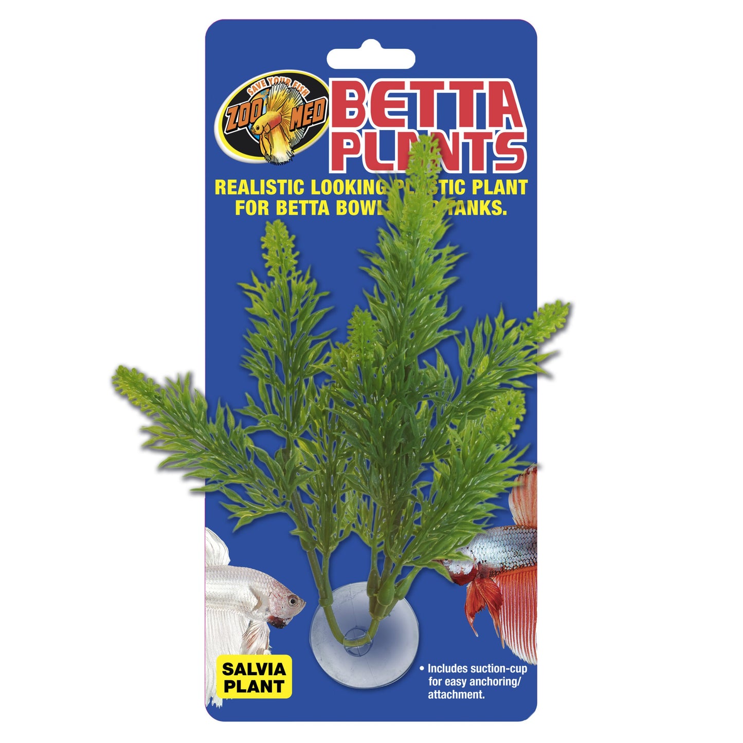 Betta Plant