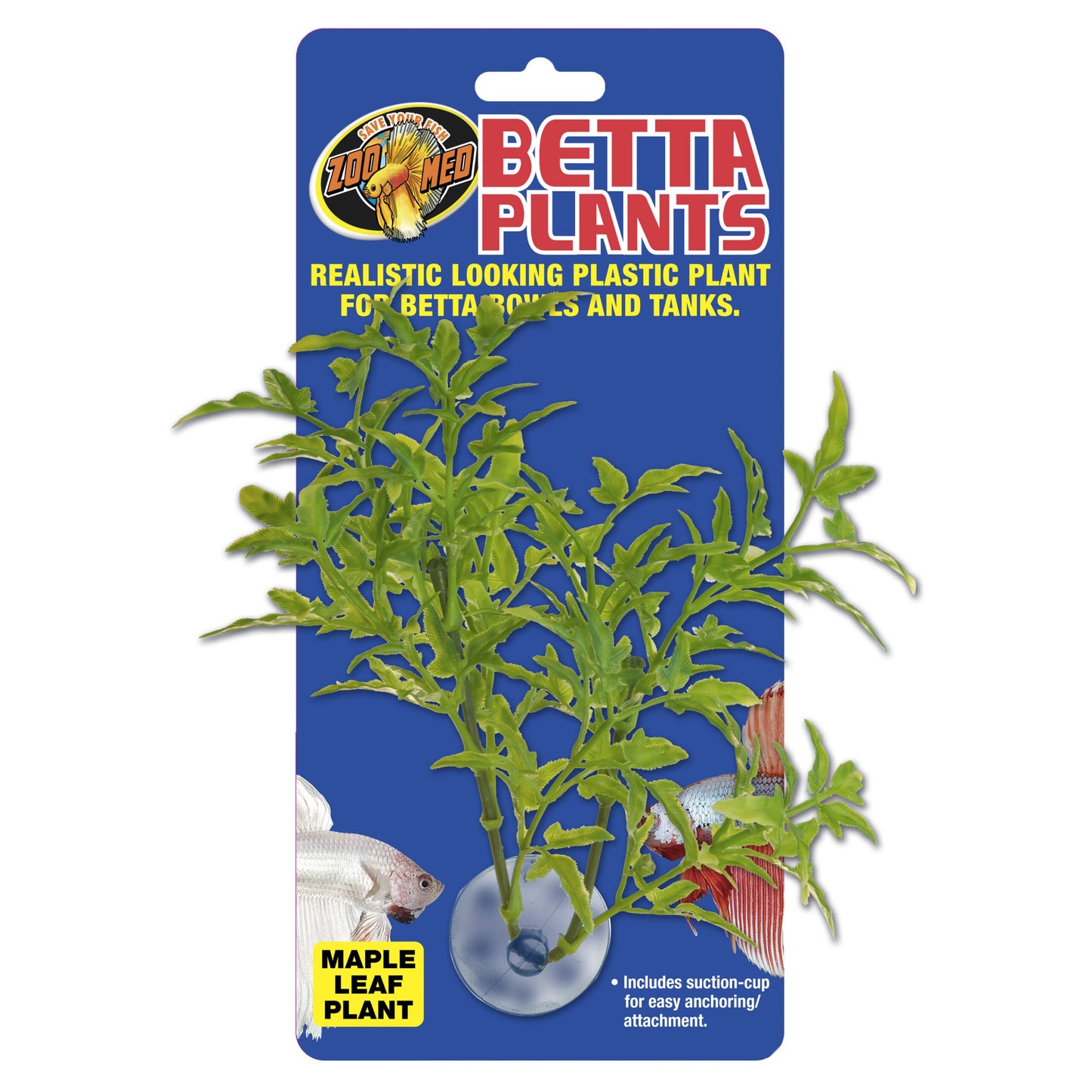 Betta Plant