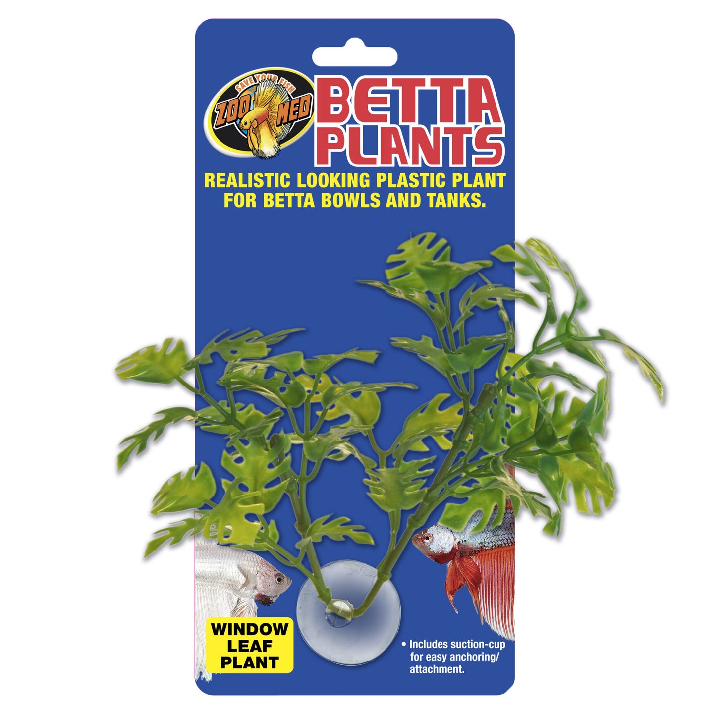 Betta Plant