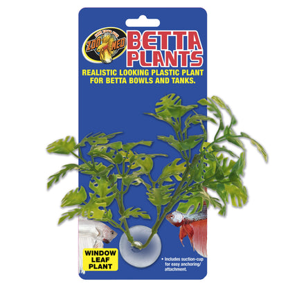 Betta Plant