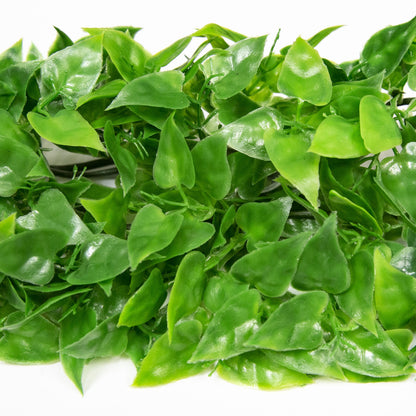 Naturalistic Flora - Mexican Phyllo
