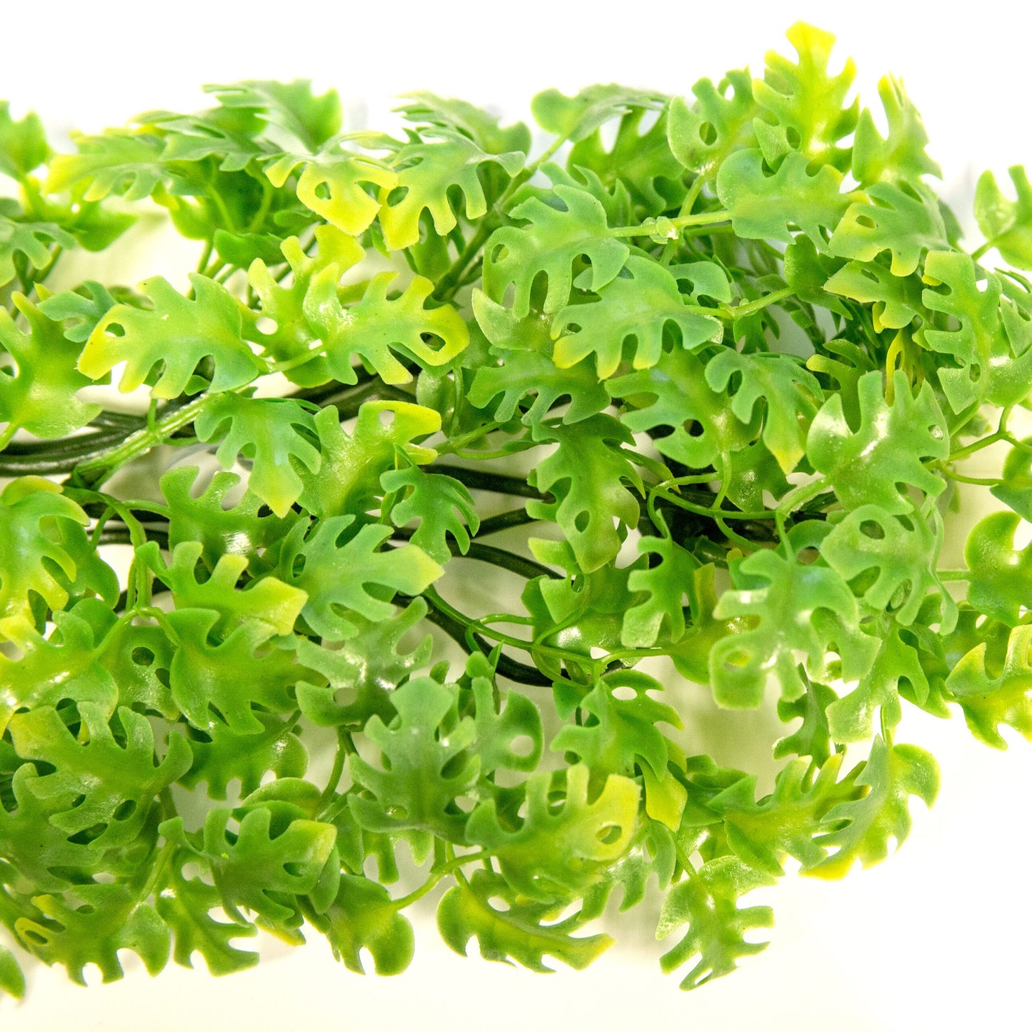 Naturalistic Flora - Amazonian Phyllo