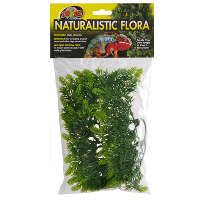 Naturalistic Flora - Malaysian Fern