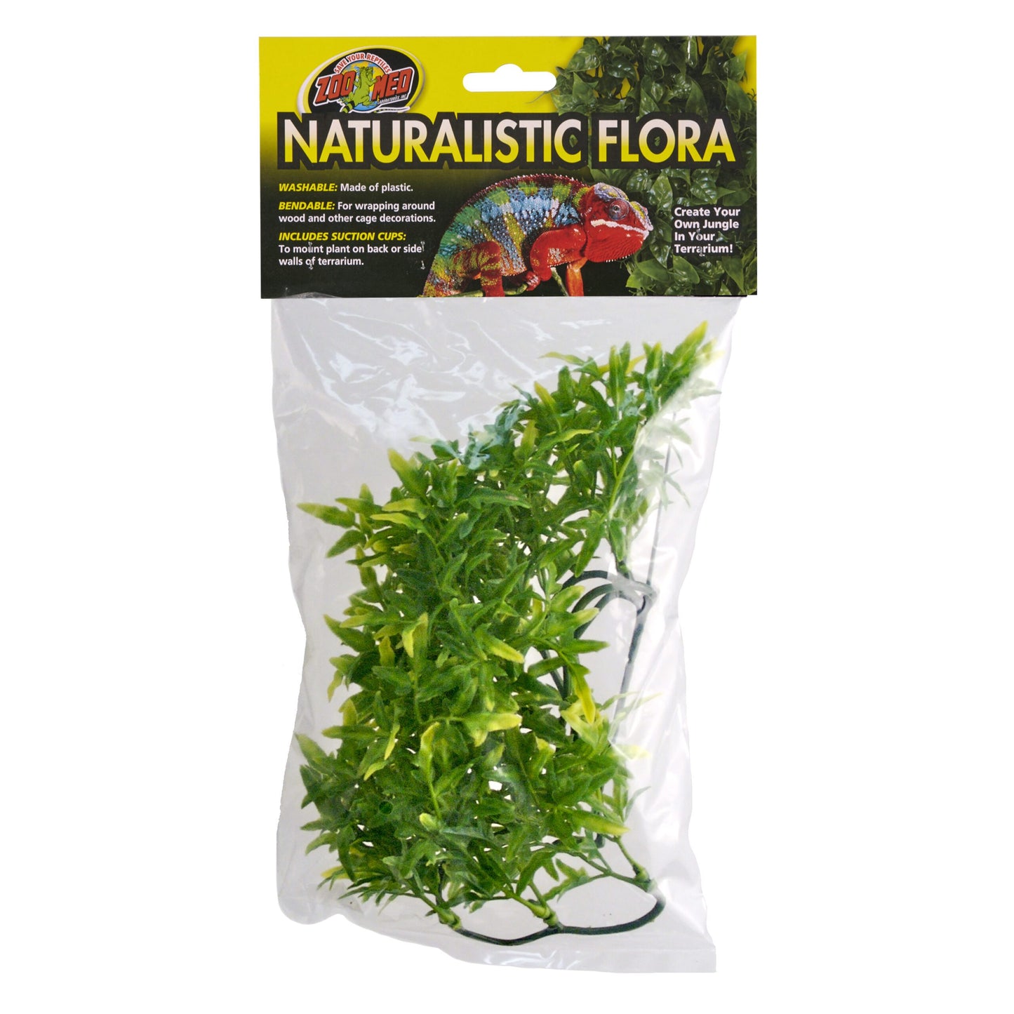 Naturalistic Flora - Bolivian Croton