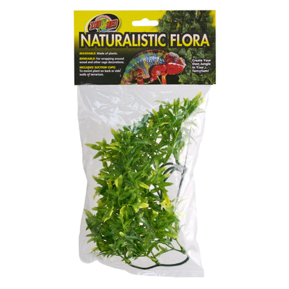Naturalistic Flora - Bolivian Croton