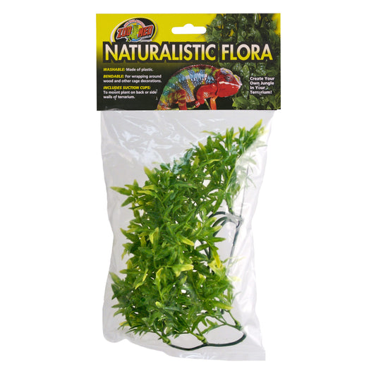 Naturalistic Flora - Bolivian Croton