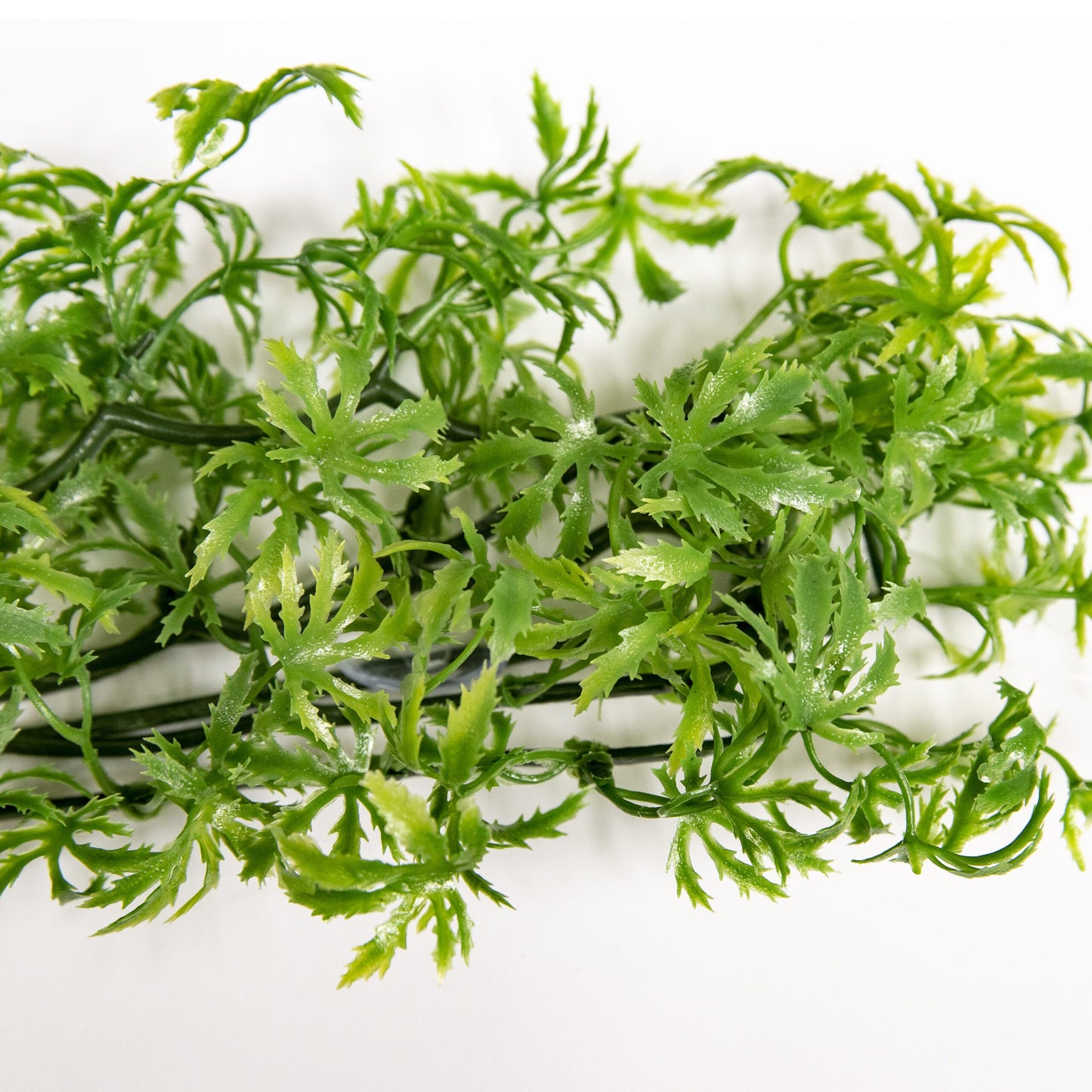 Naturalistic Flora - Cannabis