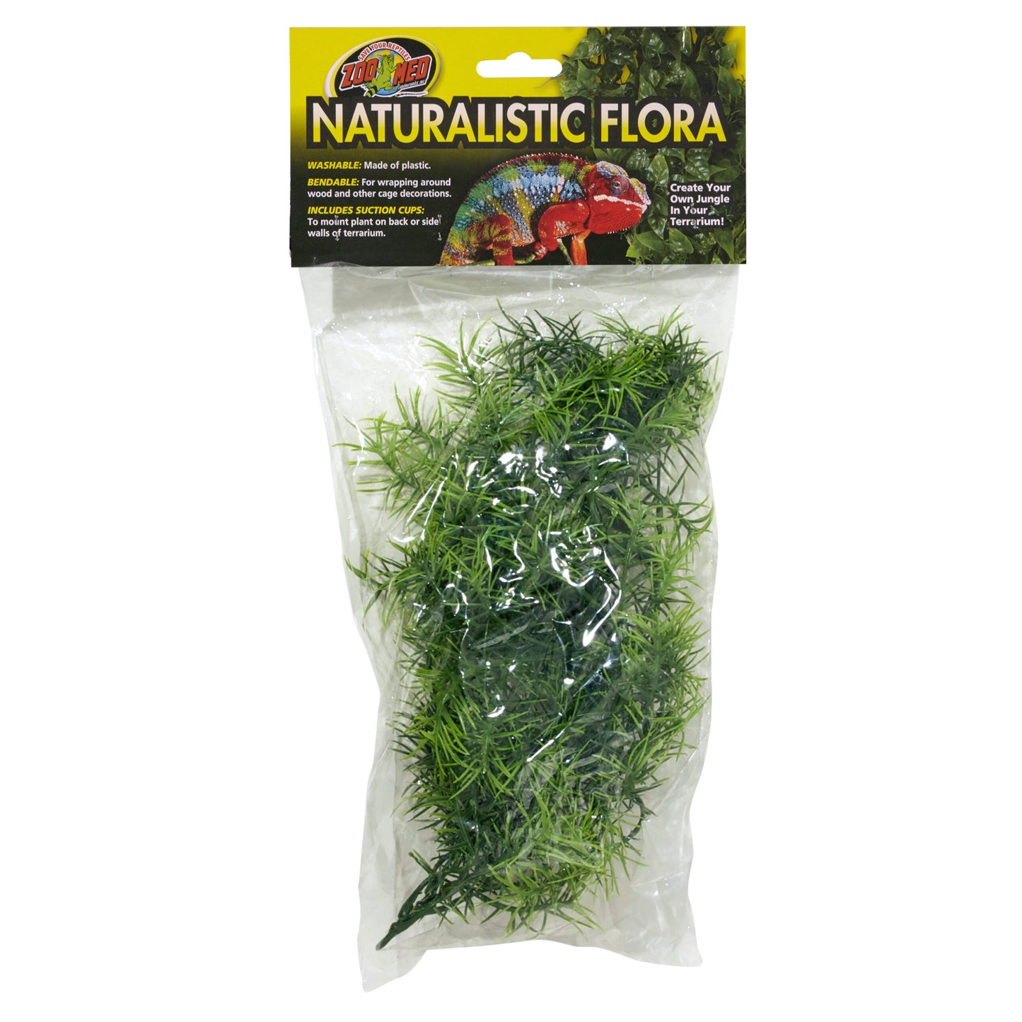 Naturalistic Flora - Cashuarina
