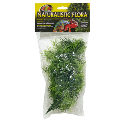 Naturalistic Flora - Cashuarina
