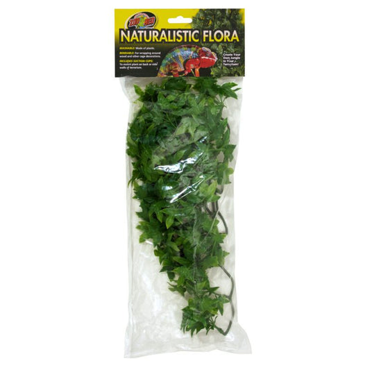 Naturalistic Flora - Congo Ivy