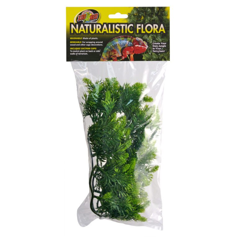Naturalistic Flora - Malaysian Fern