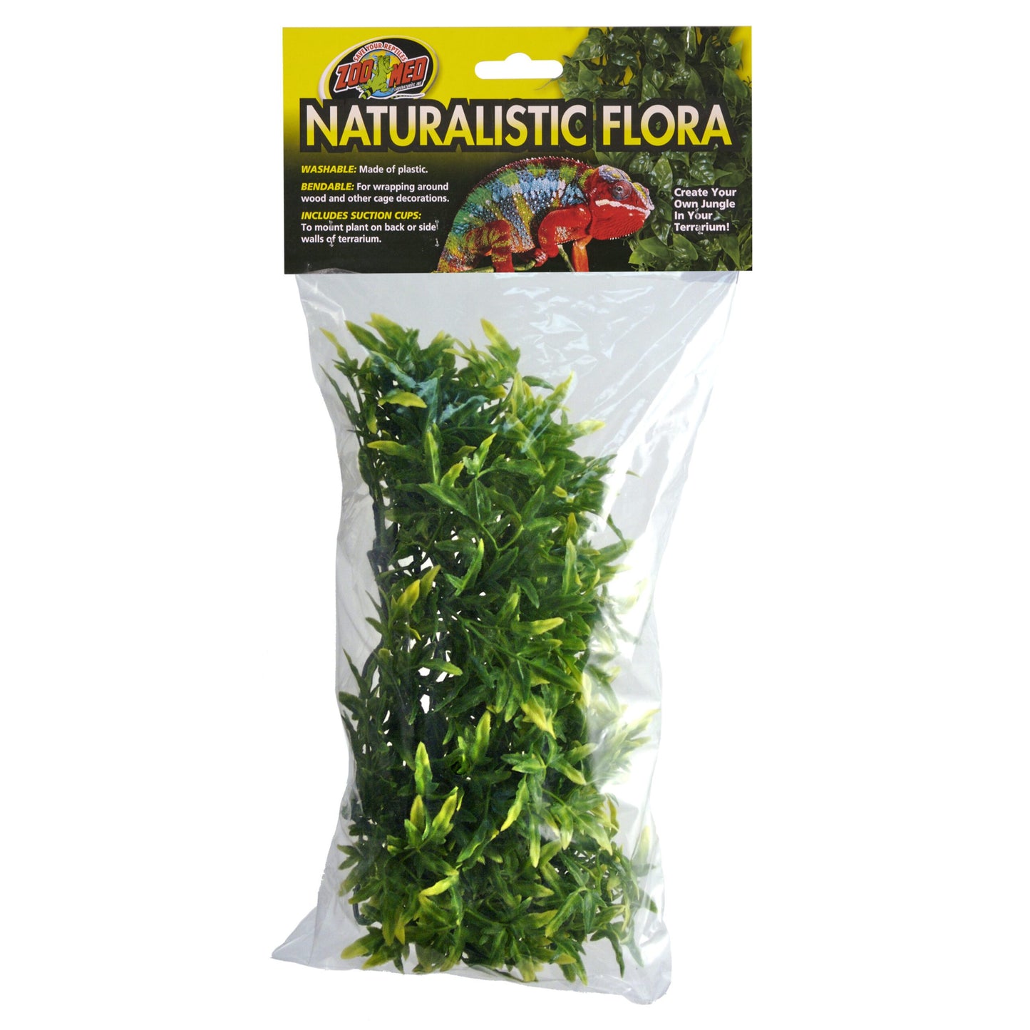 Naturalistic Flora - Bolivian Croton