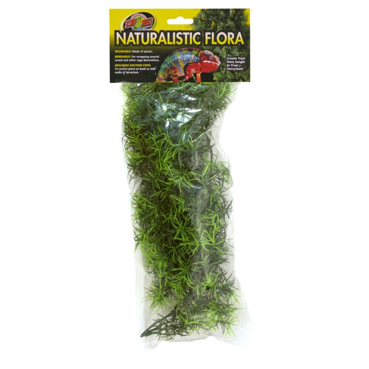 Naturalistic Flora - Cashuarina