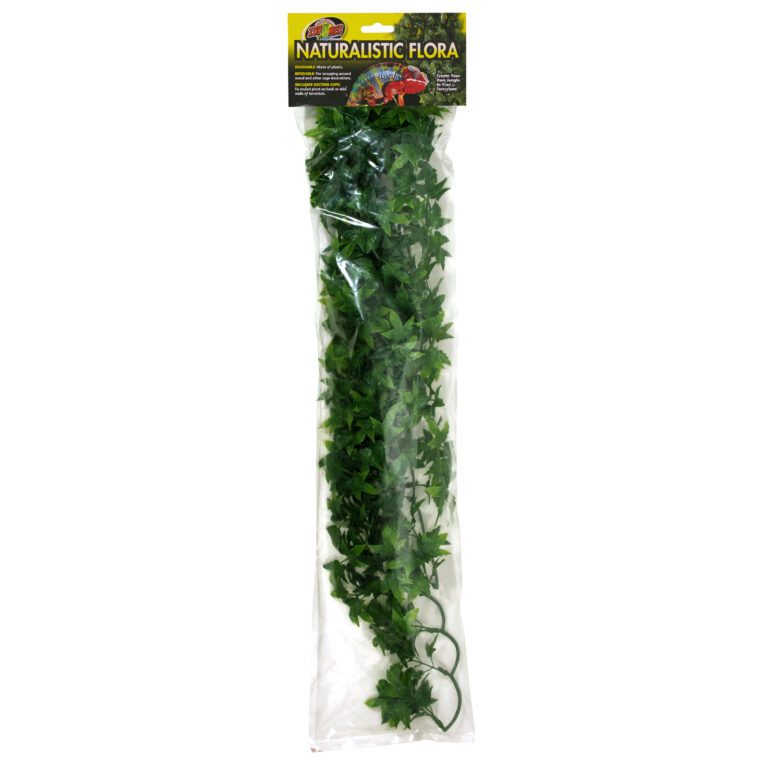 Naturalistic Flora - Congo Ivy