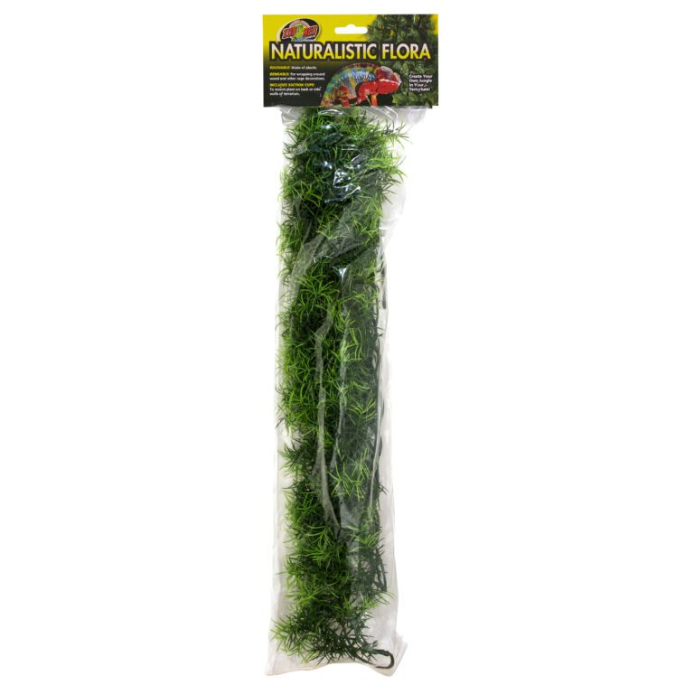Naturalistic Flora - Cashuarina