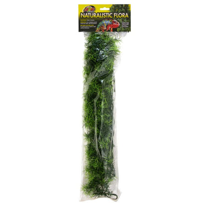 Naturalistic Flora - Cashuarina