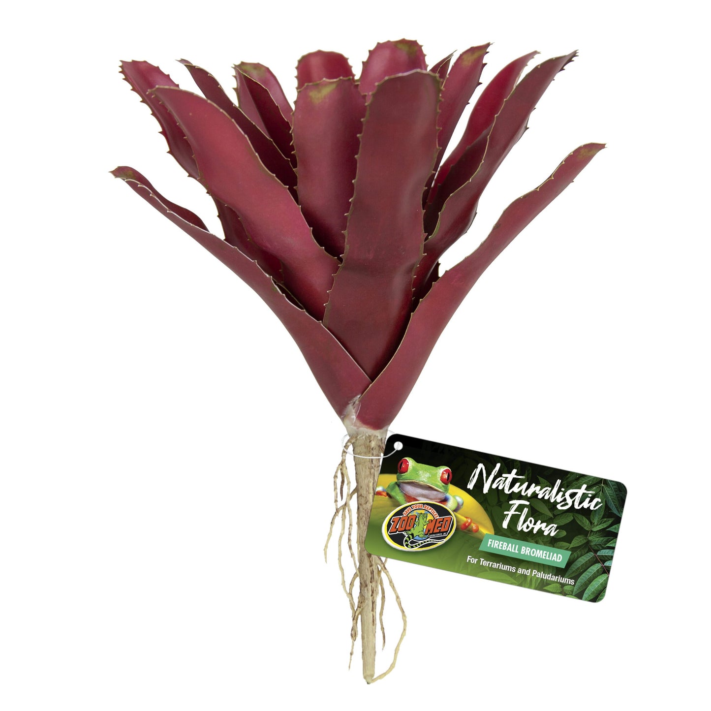 Naturalistic Flora - Fireball Bromeliad