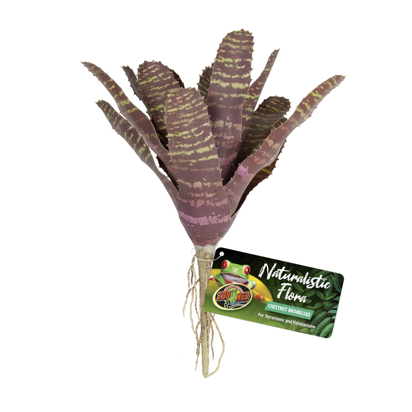 Naturalistic Flora - Chestnut Bromeliad