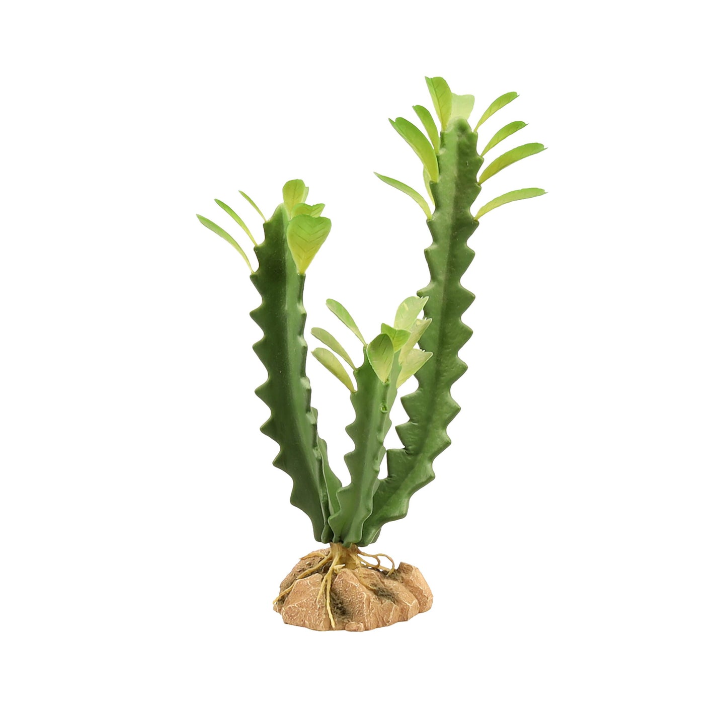 Zoo Med Desert Plant - Euphorbia