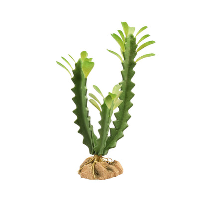 Zoo Med Desert Plant - Euphorbia