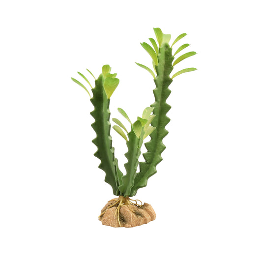 Zoo Med Desert Plant - Euphorbia
