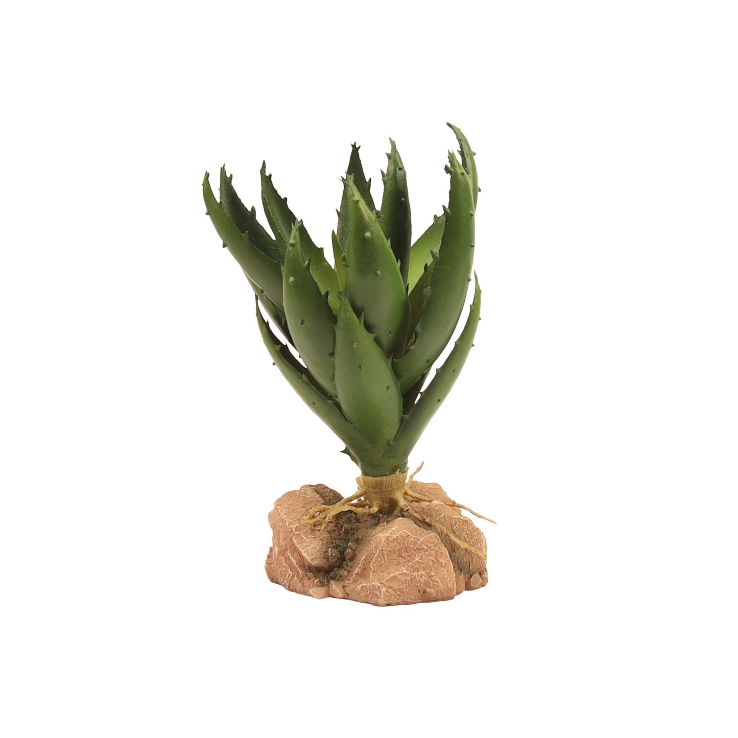 Zoo Med Desert Plant Green Aloe