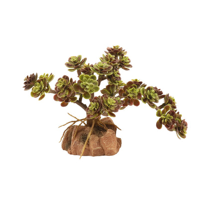 Zoo Med Desert Plant Ref Leaf Stonecrop
