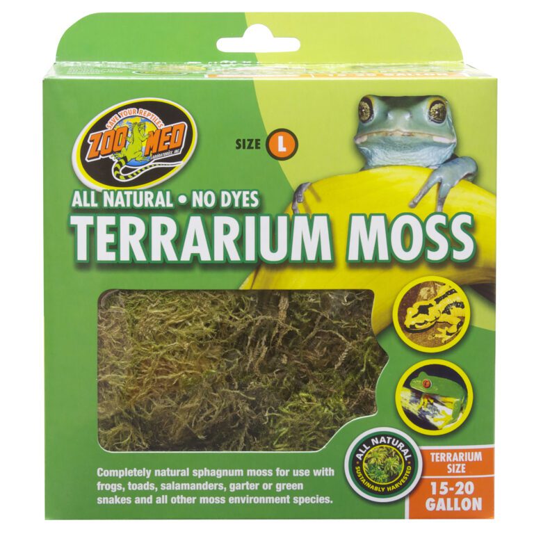 Terrarium Moss