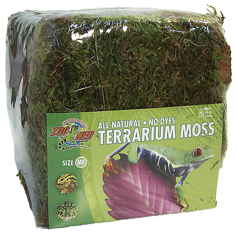 Terrarium Moss