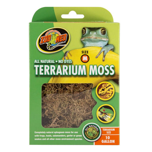 Terrarium Moss