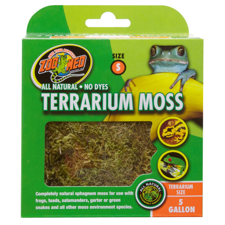 Terrarium Moss
