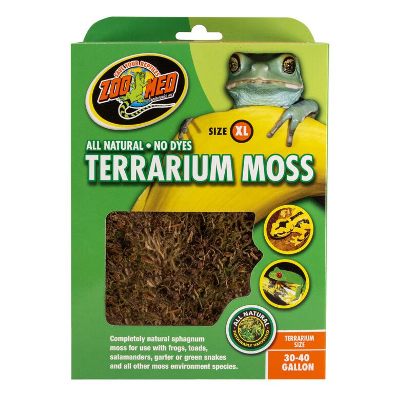 Terrarium Moss
