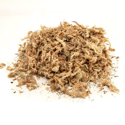 New Zealand Sphagnum Moss