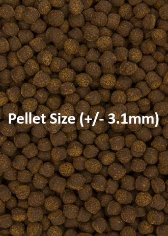 Cichlid Omni Pellets Med