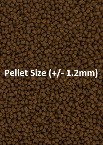 Cichlid Omni Pellets Small