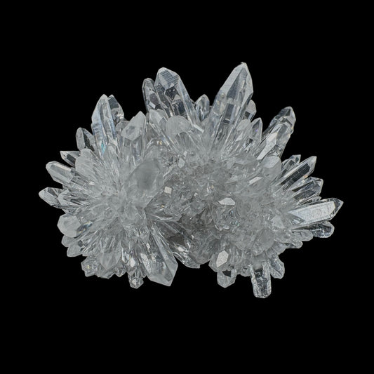 Chrysanthemum Stone
