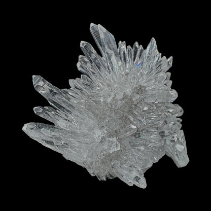 Chrysanthemum Stone
