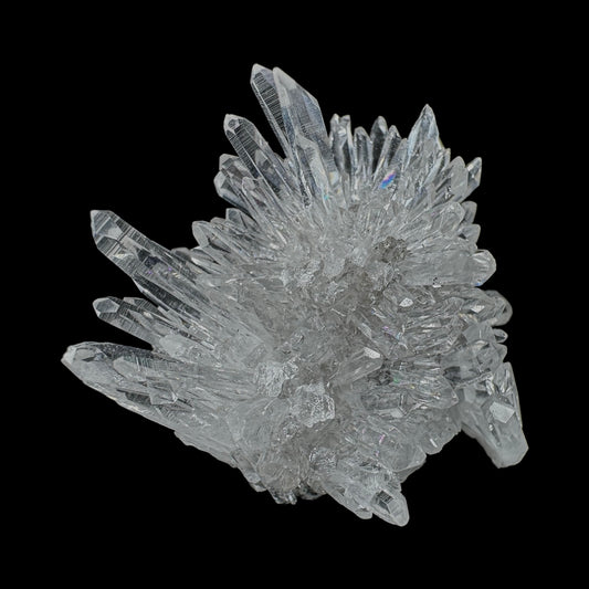 Chrysanthemum Stone