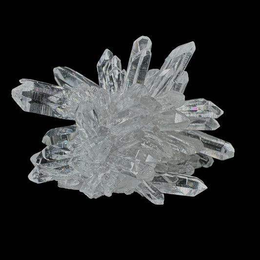 Chrysanthemum Stone