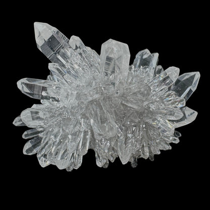 Chrysanthemum Stone
