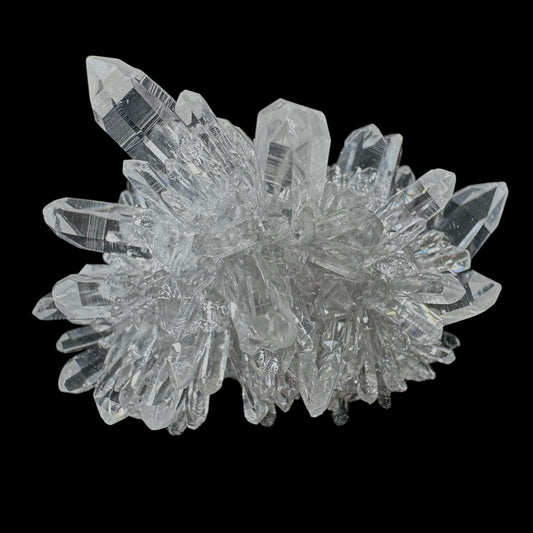 Chrysanthemum Stone
