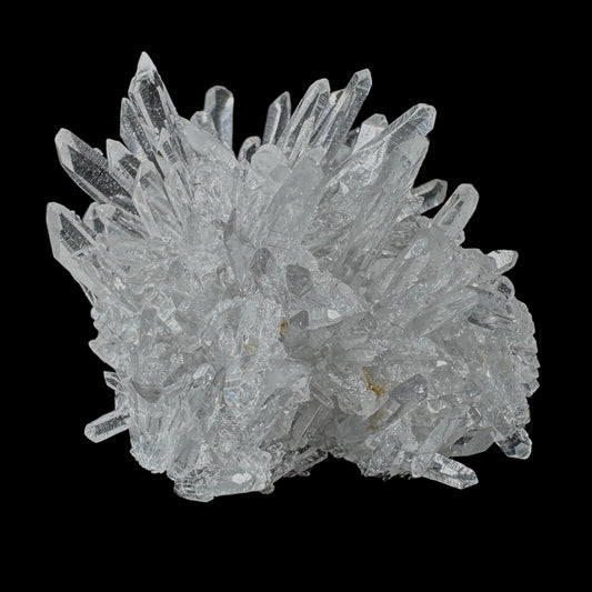Chrysanthemum Stone