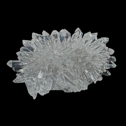 Chrysanthemum Stone